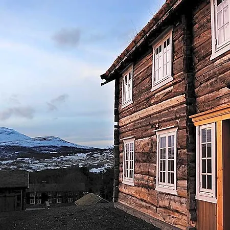 Bjerkelokkja 3*