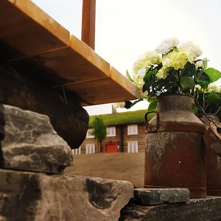 לינה וארוחת בוקר Bjerkelokkja 3*